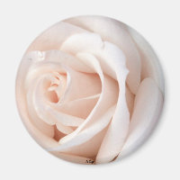 Rose mariage