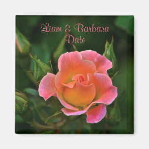 Aimant Rose Mariage rose Peachy