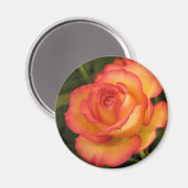 Aimant Rose orange (Recto/Verso)