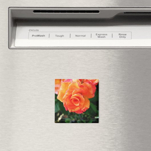 Aimant Rose orange (In Situ (Lave-vaisselle))