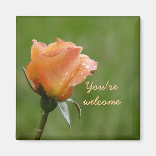 Aimant rose orange (Devant)