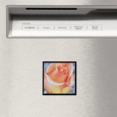 aimant rose orange (In Situ (Lave-vaisselle))