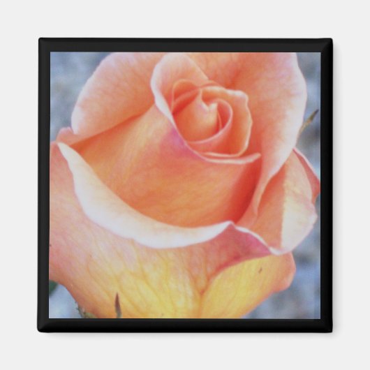 aimant rose orange (Devant)