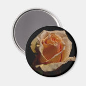 Aimant Rose orange 1 (Recto/Verso)