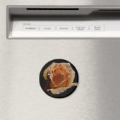 Aimant Rose orange 1 (In Situ (Lave-vaisselle))