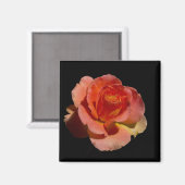 Aimant Rose orange 2 (Recto/Verso)