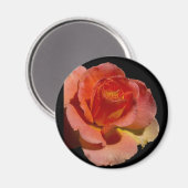 Aimant Rose orange 2 (Recto/Verso)
