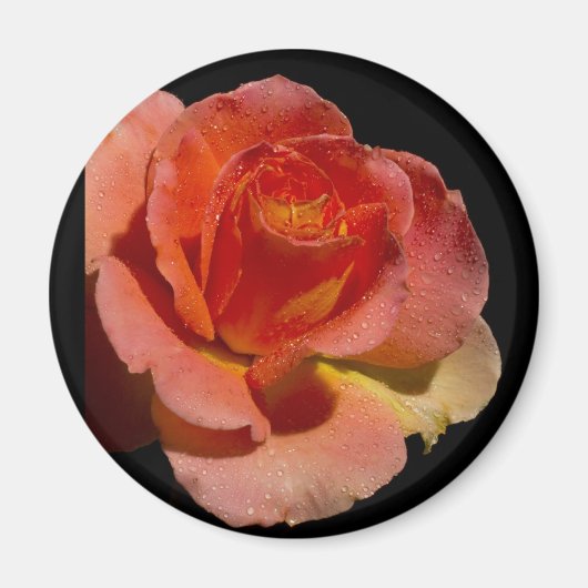 Aimant Rose orange 2 (Devant)