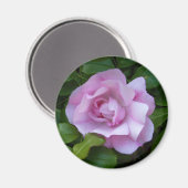 Aimant rose pâle (Recto/Verso)