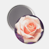 Aimant Rose Pale Peach (Recto/Verso)