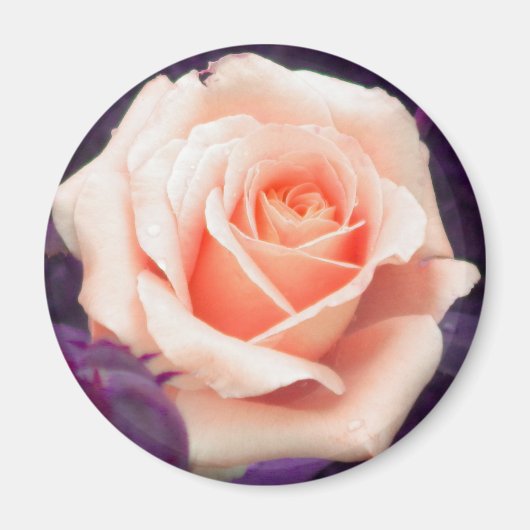 Aimant Rose Pale Peach (Devant)