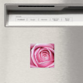 Aimant Rose parfaite (In Situ (Lave-vaisselle))