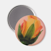 Aimant rose petit zazzle (Recto/Verso)