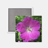 Aimant Rose Poppin (Recto/Verso)