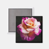 Aimant rose pour réfrigérateur et planches (Recto/Verso)