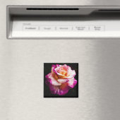 Aimant rose pour réfrigérateur et planches (In Situ (Lave-vaisselle))