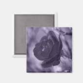 Aimant Rose Pourpre (Recto/Verso)