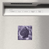 Aimant Rose Pourpre (In Situ (Lave-vaisselle))