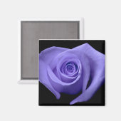 Aimant Rose pourpre (Recto/Verso)