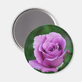 Aimant Rose pourpre (Recto/Verso)