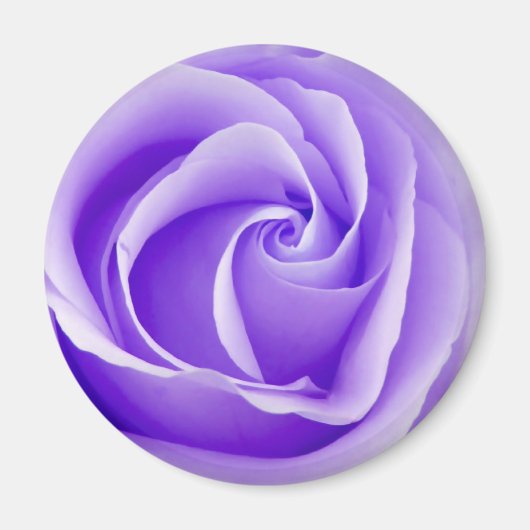 Aimant Rose pourpre (Devant)