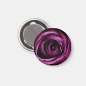 Aimant Rose Pourpre Foncé En Gros Plan (Recto/Verso)