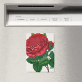 Aimant Rose Print Rochester Lithographing and Printing Co (In Situ (Lave-vaisselle))