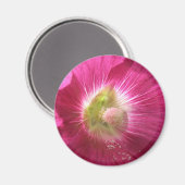 Aimant rose profond Hollyhock (Recto/Verso)