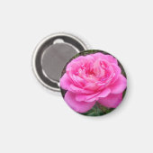 Aimant Rose romantique 'Léonard de Vinci' (Recto/Verso)