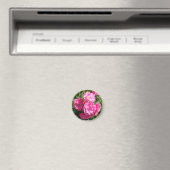 Aimant rose rose (In Situ (Lave-vaisselle))