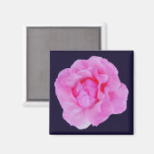 Aimant rose rose (Recto/Verso)