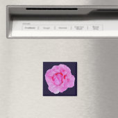 Aimant rose rose (In Situ (Lave-vaisselle))