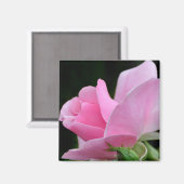 Aimant Rose rose (Recto/Verso)