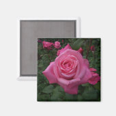 Aimant Rose Rose (Recto/Verso)