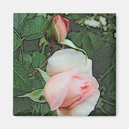 Aimant rose rose (Devant)