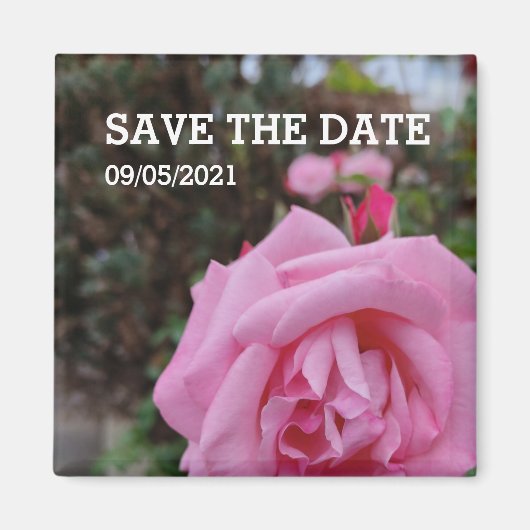 Aimant Rose rose (Devant)