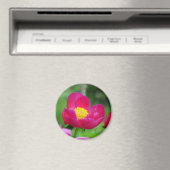 Aimant Rose rose chaud (In Situ (Lave-vaisselle))