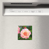 Aimant Rose rose fleurs dans le jardin carte postale (In Situ (Lave-vaisselle))