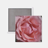 Aimant Rose rose II Plutôt Floral (Recto/Verso)