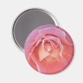 Aimant Rose rose lustre (Recto/Verso)