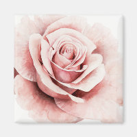 Rose rose rose