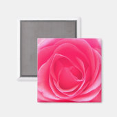 Aimant Rose rose rose (Recto/Verso)