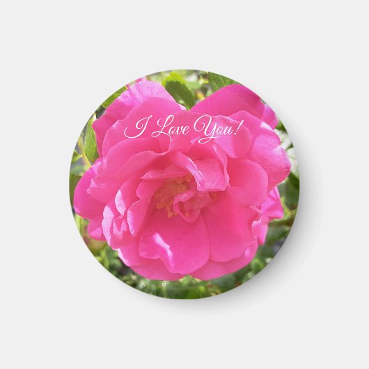 Aimant Rose rose rose (Devant)