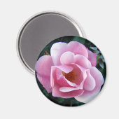 Aimant Rose rose rose (Recto/Verso)