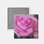 Aimant Rose rose rose (Recto/Verso)