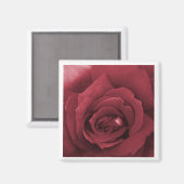 Aimant rose rouge (Recto/Verso)