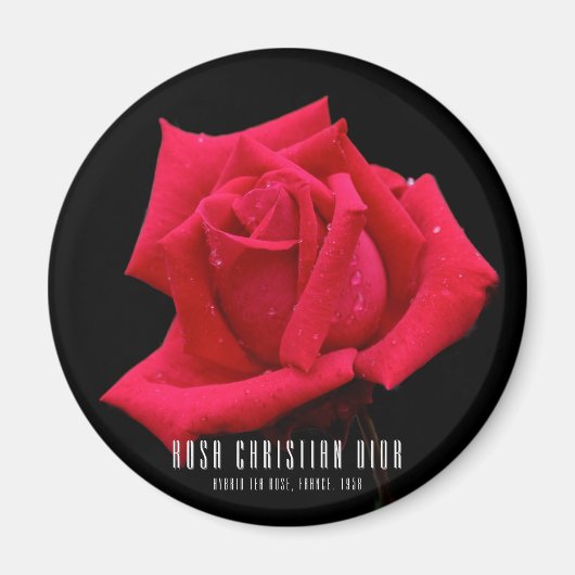 Aimant Rose rouge (Devant)