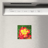 Aimant Rose rouge (In Situ (Lave-vaisselle))