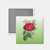 Aimant Rose rouge avec couleur de dégradé (Recto/Verso)