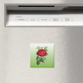 Aimant Rose rouge avec couleur de dégradé (In Situ (Lave-vaisselle))